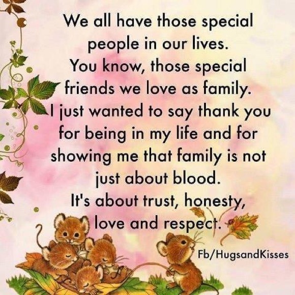 Meet your Posher, Waynell - Picture 5 of 8